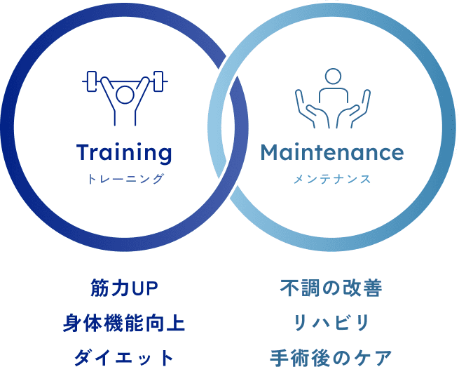Training（トレーニング）とMaintenance（メンテナンス）の2つのサービス